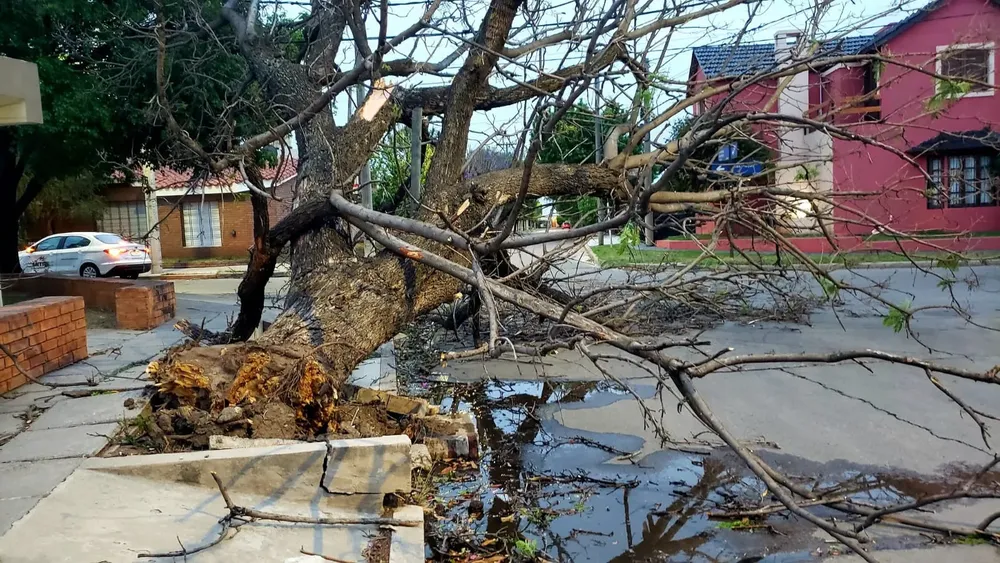 El fuerte viento causó voladuras de techos, caída de árboles y cortes de luz