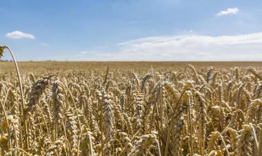 Sequía: informe del INTA anticipa que podrían normalizarse las lluvias