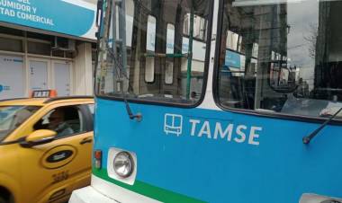 No funcionan los trolebuses en el centro de Córdoba por un problema eléctrico