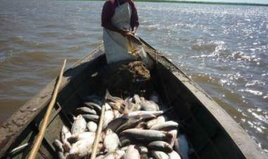 Pescadores de Santa Fe reportaron ventas "flojas por la economía", pese al advenimiento de Semana Santa