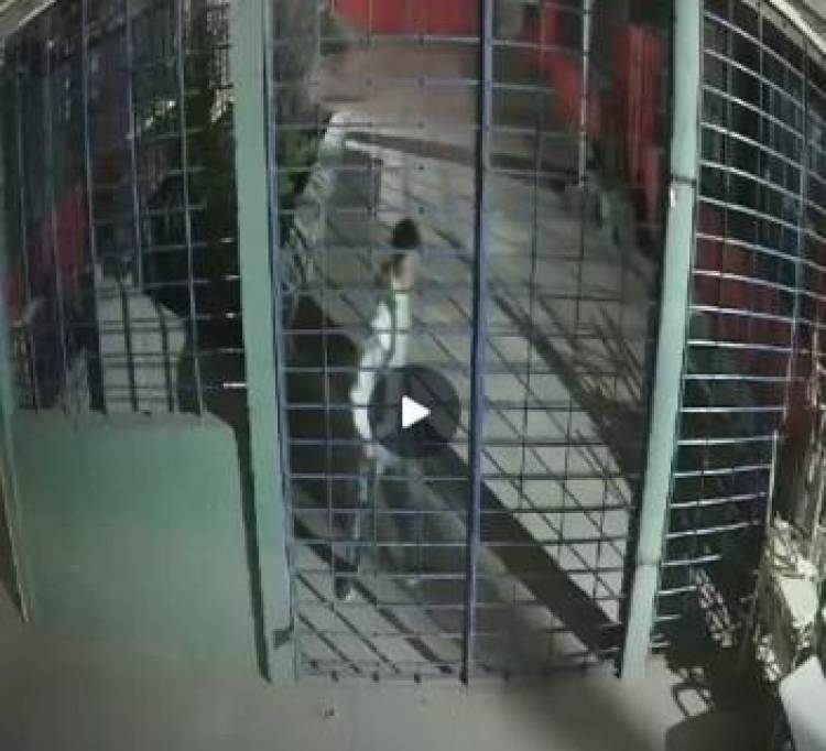 Así rompen la reja de la Escuela San Agustín para entrar a robar
