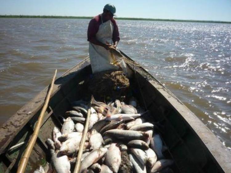 Pescadores de Santa Fe reportaron ventas "flojas por la economía", pese al advenimiento de Semana Santa